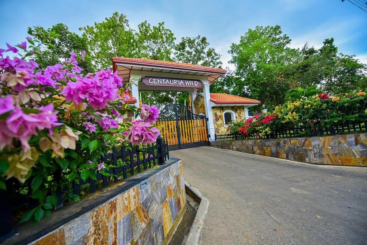 Centauria Wild Hotel Udawalawe Luaran gambar