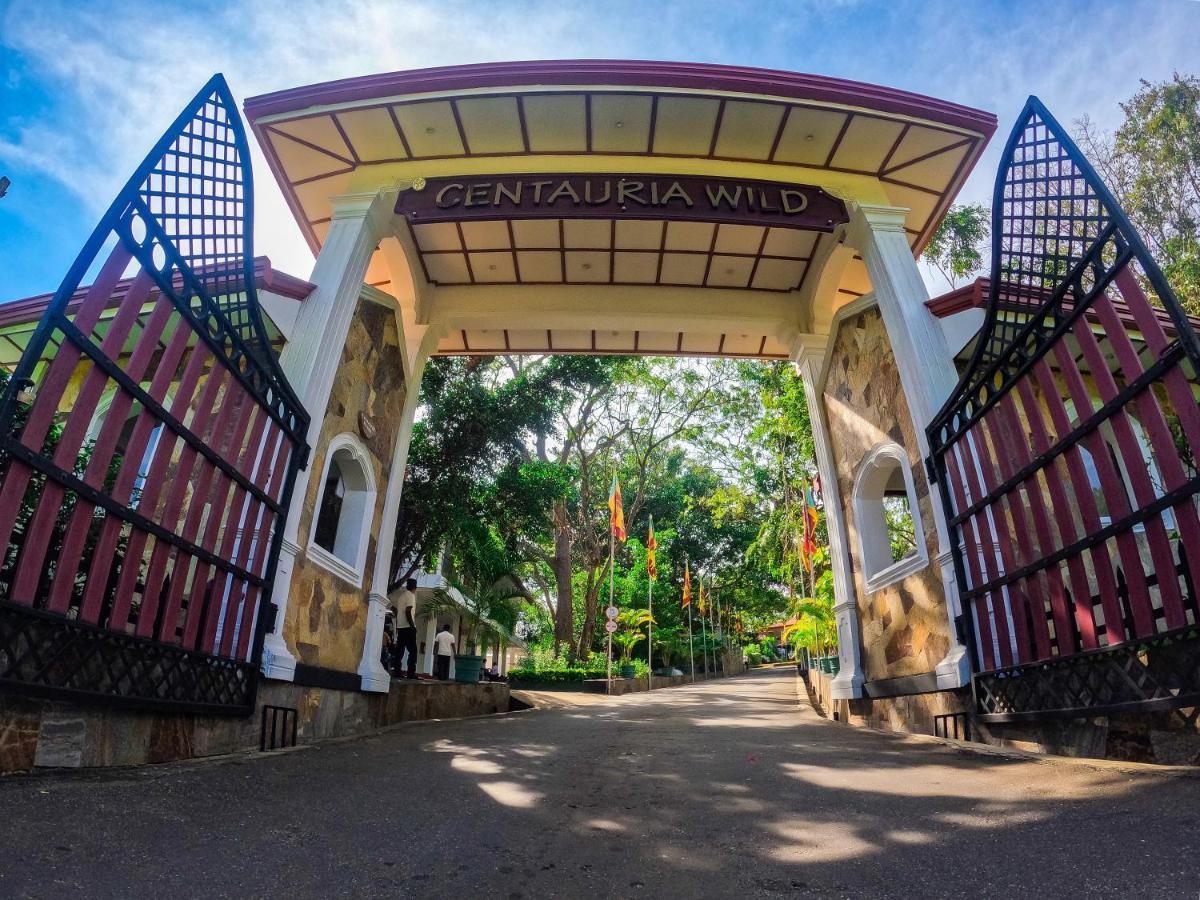 Centauria Wild Hotel Udawalawe Luaran gambar